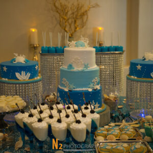 Blue and white wedding cake at our wedding venue - Alegria Gardens