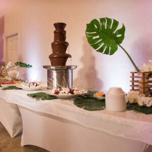 Fondue display at our wedding venue - Alegria Gardens