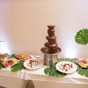 Fondue with fruit and candy at our reception hall - Alegria Gardens